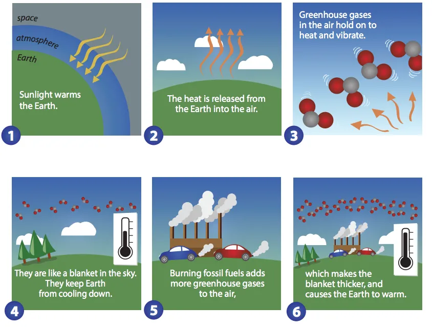 What is Greenhouse Effect